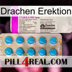 Dragon Erection new07